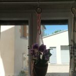 IMG_20220611_154147