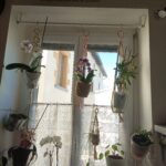 IMG_20220611_154208
