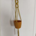 IMG_20220613_103129